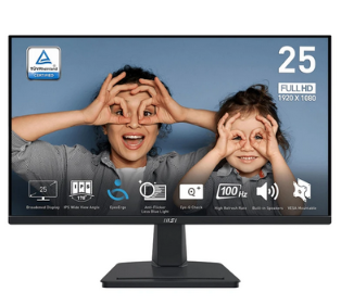 مانیتور 24.5 اینچ ام اس آی مدل PRO MP251