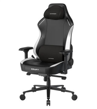 صندلی گیمینگ دی ایکس ریسر Craft Series XL Black White