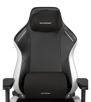 صندلی گیمینگ دی ایکس ریسر Craft Series XL Black White